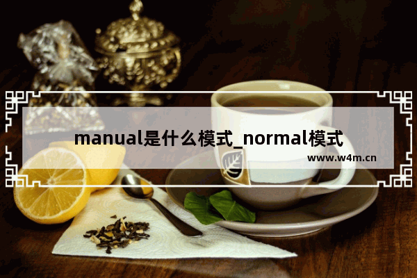 manual是什么模式_normal模式是什么意思