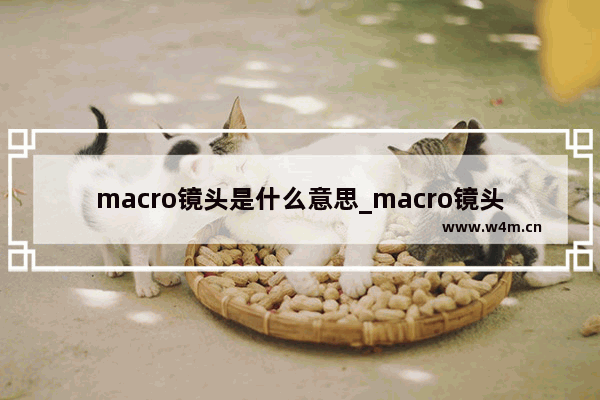 macro镜头是什么意思_macro镜头是长焦镜头吗