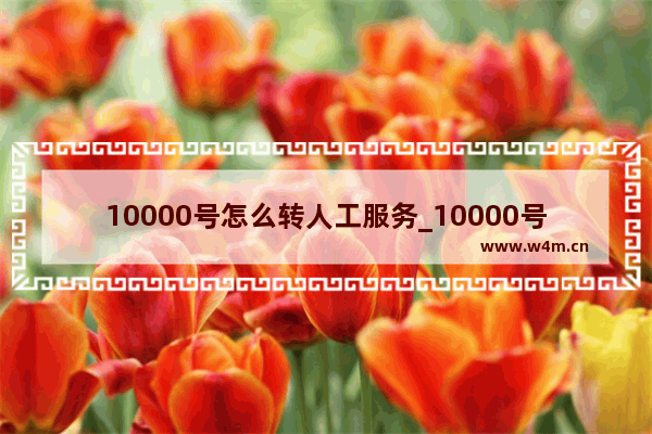 10000号怎么转人工服务_10000号如何转人工服务