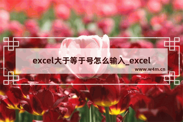 excel大于等于号怎么输入_excel大于等于号如何输入