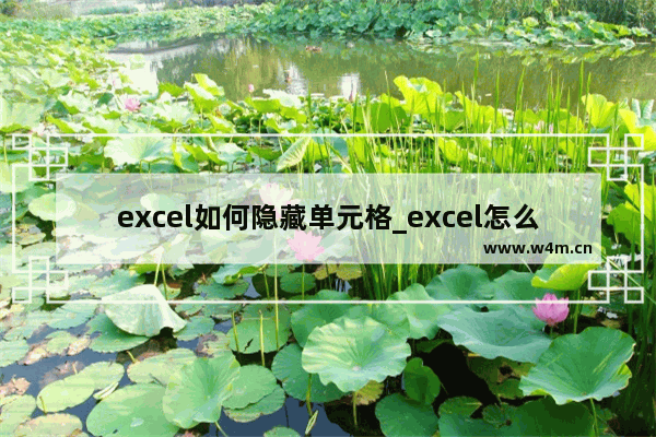 excel如何隐藏单元格_excel怎么隐藏单元格