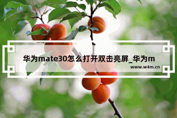 华为mate30怎么打开双击亮屏_华为mate30如何双击亮屏