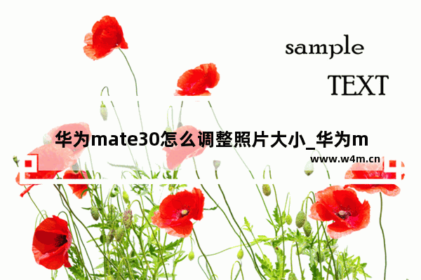 华为mate30怎么调整照片大小_华为mate30如何调整照片大小