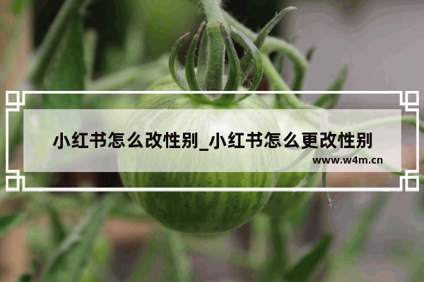 小红书怎么改性别_小红书怎么更改性别