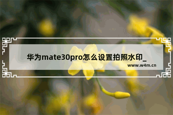 华为mate30pro怎么设置拍照水印_华为mate30pro如何设置拍照水印