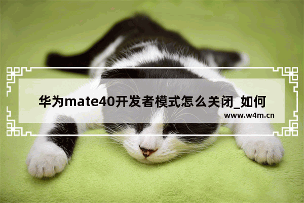 华为mate40开发者模式怎么关闭_如何开发者模式