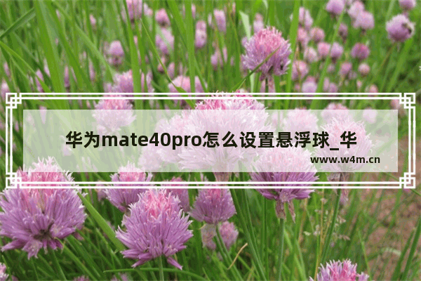 华为mate40pro怎么设置悬浮球_华为mate40pro怎么开启悬浮球