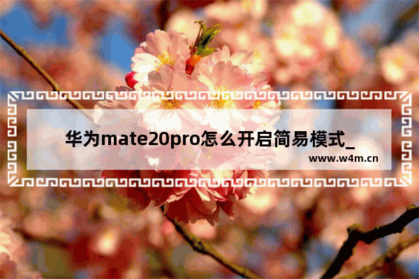 华为mate20pro怎么开启简易模式_华为mate20pro如何开启简易模式