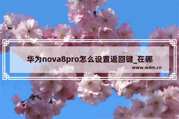 华为nova8pro怎么设置返回键_在哪里设置返回键