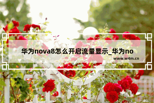 华为nova8怎么开启流量显示_华为nova8流量显示在哪里