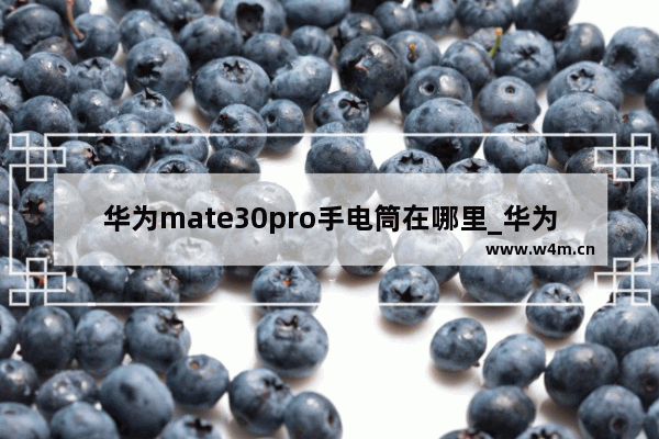 华为mate30pro手电筒在哪里_华为mate30pro手电筒在哪里打开