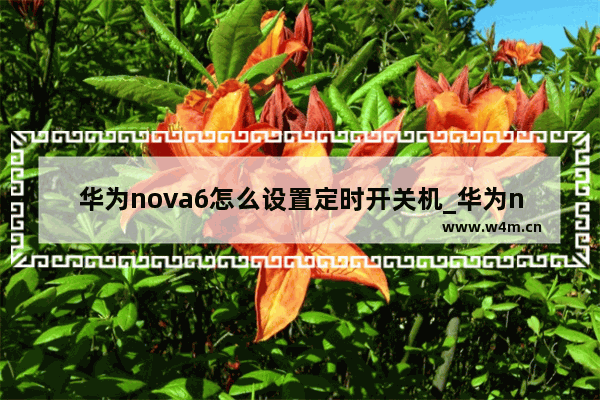 华为nova6怎么设置定时开关机_华为nova6定时关机在哪里