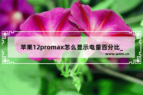 苹果12promax怎么显示电量百分比_iphone12promax电池百分比怎么设置