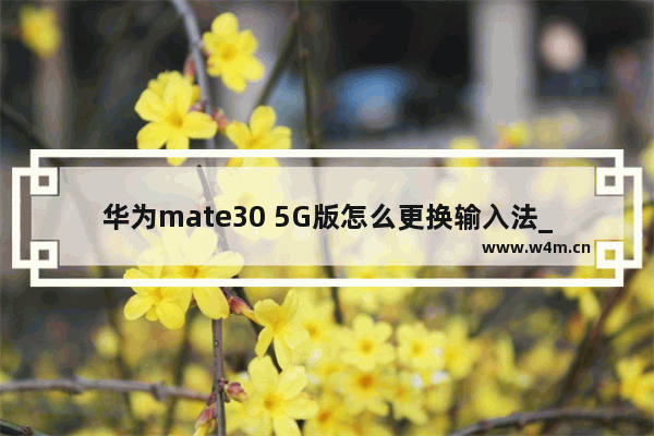 华为mate30 5G版怎么更换输入法_华为mate30 5G版如何更换输入法