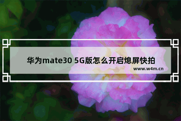 华为mate30 5G版怎么开启熄屏快拍_华为mate30 5G版怎么设置熄屏快拍