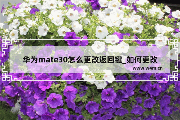 华为mate30怎么更改返回键_如何更改返回键