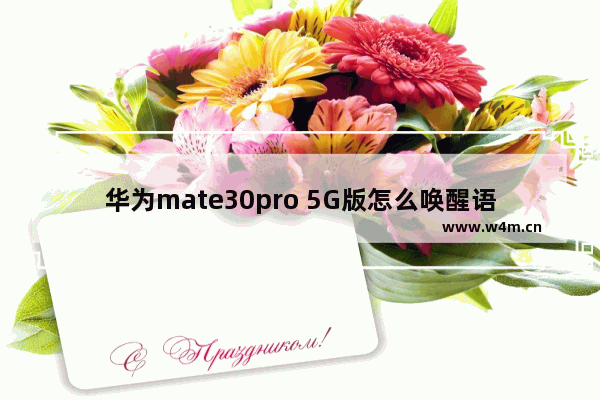 华为mate30pro 5G版怎么唤醒语音助手_华为mate30pro 5G版如何唤醒语音助手