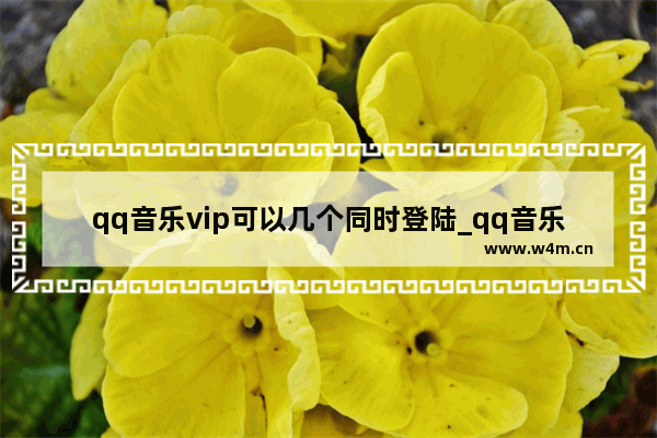 qq音乐vip可以几个同时登陆_qq音乐vip可以几个人用