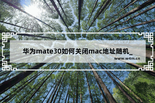 华为mate30如何关闭mac地址随机_华为mate30关闭随机Mac地址