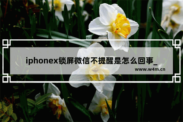 iphonex锁屏微信不提醒是怎么回事_怎么解决