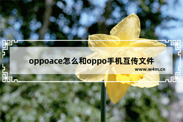 oppoace怎么和oppo手机互传文件_OPPO手机如何互传文件