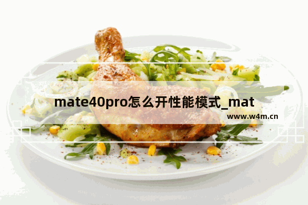 mate40pro怎么开性能模式_mate40pro性能模式在哪里