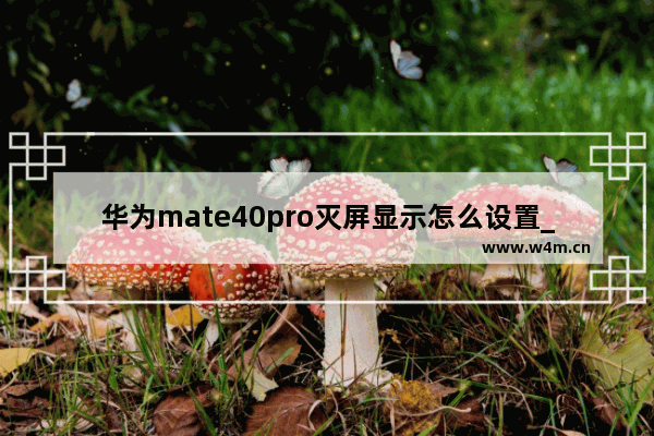 华为mate40pro灭屏显示怎么设置_屏显怎么设置