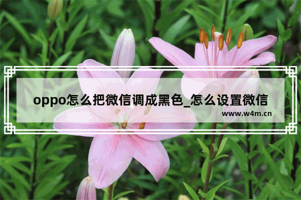 oppo怎么把微信调成黑色_怎么设置微信深色模式