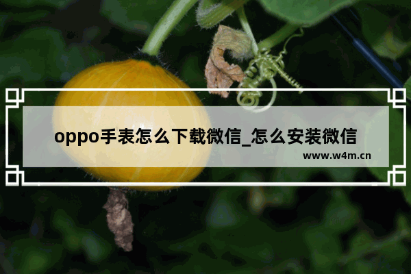 oppo手表怎么下载微信_怎么安装微信