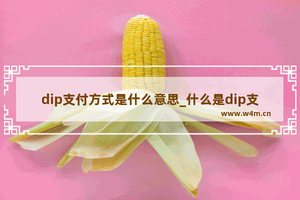 dip支付方式是什么意思_什么是dip支付方式