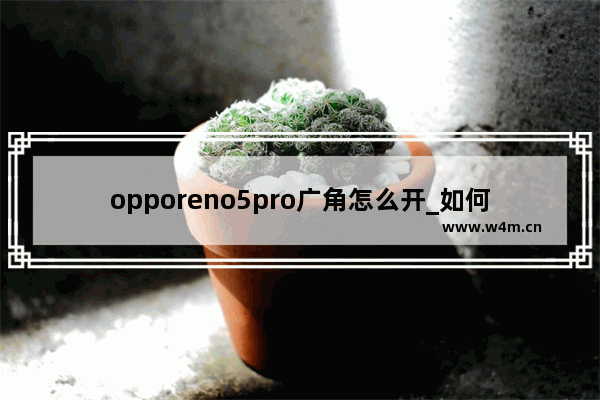 opporeno5pro广角怎么开_如何开