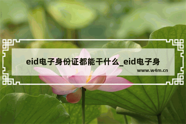 eid电子身份证都能干什么_eid电子身份证是什么