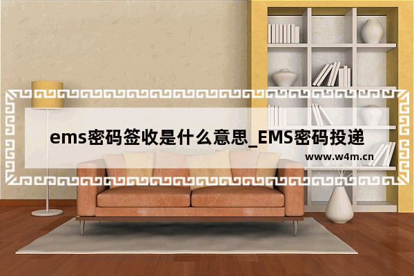 ems密码签收是什么意思_EMS密码投递服务的原则