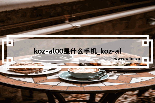 koz-al00是什么手机_koz-al00是什么型号的手机