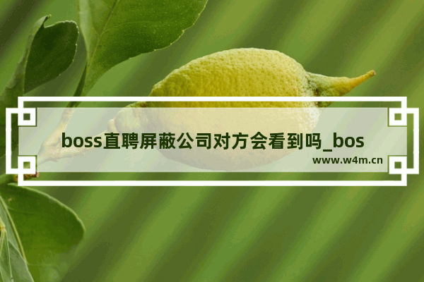 boss直聘屏蔽公司对方会看到吗_boss直聘上屏蔽了公司后,公司还能看到吗