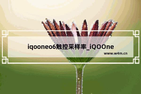 iqooneo6触控采样率_iQOOneo6触控采样率是多少