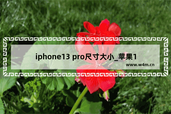 iphone13 pro尺寸大小_苹果13pro尺寸大小