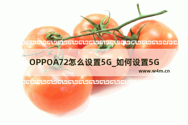 OPPOA72怎么设置5G_如何设置5G