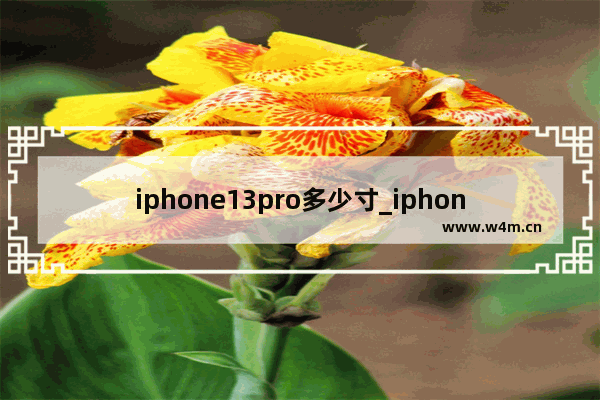 iphone13pro多少寸_iphone13pro多少寸屏幕