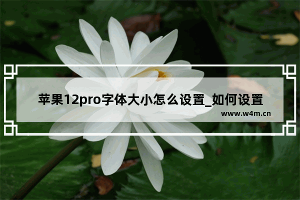 苹果12pro字体大小怎么设置_如何设置