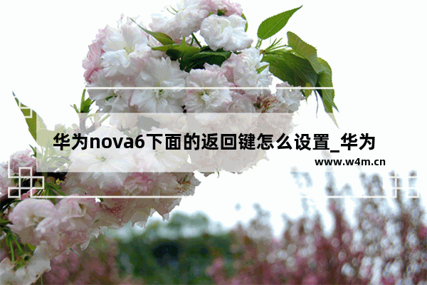 华为nova6下面的返回键怎么设置_华为nova6怎样设置返回键