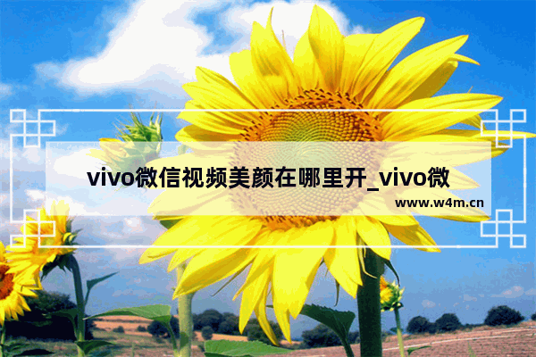 vivo微信视频美颜在哪里开_vivo微信美颜视频怎么设置