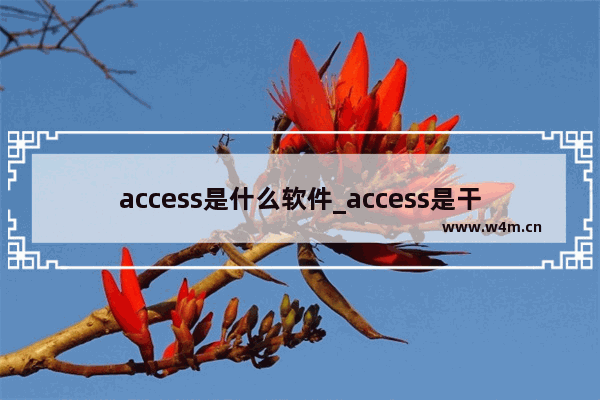 access是什么软件_access是干嘛的