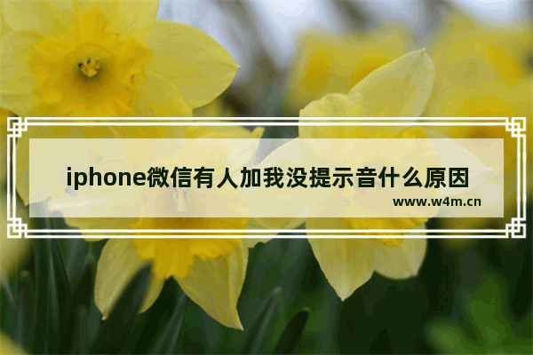 iphone微信有人加我没提示音什么原因_怎么办