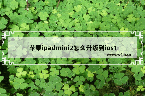 苹果ipadmini2怎么升级到ios13_苹果ipadmini2升级