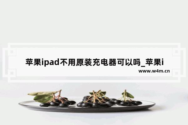 苹果ipad不用原装充电器可以吗_苹果ipad没有原装充电器可以充电吗