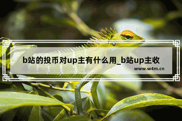 b站的投币对up主有什么用_b站up主收到投币有什么用