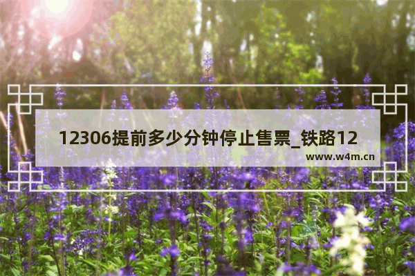 12306提前多少分钟停止售票_铁路12306提前多久停止售票