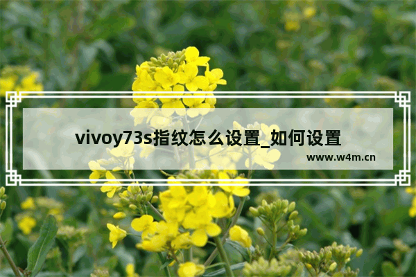 vivoy73s指纹怎么设置_如何设置