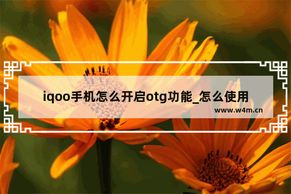 iqoo手机怎么开启otg功能_怎么使用otg功能